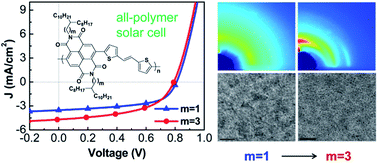 Graphical abstract: Effect of alkyl-chain branching position on nanoscale morphology and performance of all-polymer solar cells