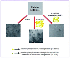 Graphical abstract: Enhanced corrosion inhibitive effect of p-methoxybenzylidene-4,4′-dimorpholine assembled on nickel oxide nanoparticles for mild steel in acid medium