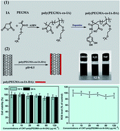 Graphical abstract: Mussel inspired preparation of highly dispersible and biocompatible carbon nanotubes