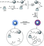 Graphical abstract: Preparation of magnetic molecularly imprinted polymer beads and their recognition for baicalein