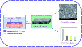 Graphical abstract: Facile and low-cost approach towards a PVDF ultrafiltration membrane with enhanced hydrophilicity and antifouling performance via graphene oxide/water-bath coagulation