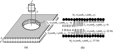Graphical abstract: Instability of carbon nanoparticles interacting with lipid bilayers