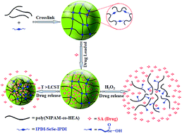 Graphical abstract: Oxidation- and thermo-responsive poly(N-isopropylacrylamide-co-2-hydroxyethyl acrylate) hydrogels cross-linked via diselenides for controlled drug delivery