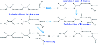 Graphical abstract: Cross-linking process of cis-polybutadiene rubber with peroxides studied by two-dimensional infrared correlation spectroscopy: a detailed tracking