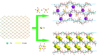 Graphical abstract: Two series of novel 3D potentially porous heterometallic Cu–Ln coordination frameworks assembled by 3,4-pyridinedicarboxylic acid with different topologies and channels: syntheses, structures, luminescence and magnetic properties