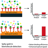 Graphical abstract: Nanostructured and spiky gold in biomolecule detection: improving binding efficiencies and enhancing optical signals