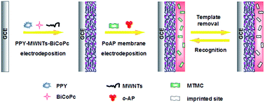 Graphical abstract: Electrochemical sensor based on a bilayer of PPY–MWCNTs–BiCoPc composite and molecularly imprinted PoAP for sensitive recognition and determination of metolcarb