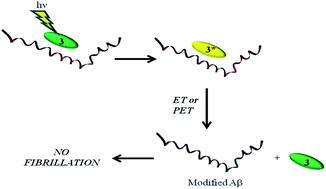 Graphical abstract: Photo-inhibition of Aβ fibrillation mediated by a newly designed fluorinated oxadiazole