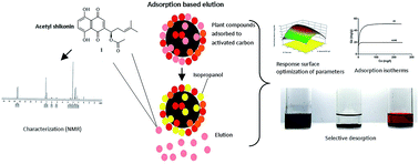 Graphical abstract: Box–Behnken designed adsorption based elution – unique separation process for commercially important acetyl shikonin from Arnebia nobilis