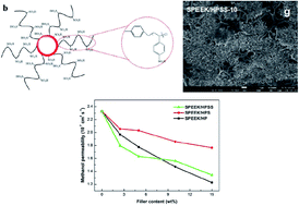 Graphical abstract: Enhanced water retention and proton conductivity of proton exchange membranes by incorporating hollow polymer microspheres grafted with sulfonated polystyrene brushes