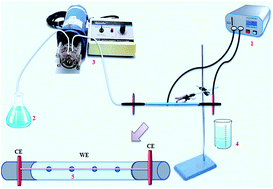 Graphical abstract: Different morphologies of polypyrrole produced by flow-through and batch electropolymerizations: application in electrochemically controlled in-tube solid phase microextraction