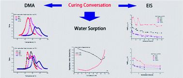 Graphical abstract: Effect of curing conversion on the water sorption, corrosion resistance and thermo-mechanical properties of epoxy resin