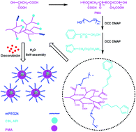 Graphical abstract: Functionalization of biodegradable hyperbranched poly(α,β-malic acid) as a nanocarrier platform for anticancer drug delivery