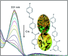 Graphical abstract: Synthesis, liquid crystal characterization and photo-switching studies on fluorine substituted azobenzene based esters