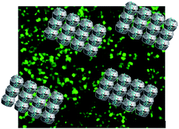 Graphical abstract: Incorporation of Coumarin 6 in cyclodextrins: microcrystals to lamellar composites