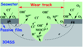 Graphical abstract: Tribocorrosion behaviors of 304SS: effect of solution pH