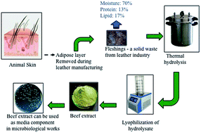 Graphical abstract: Wealth from waste – beef extract for microbiological media from tannery solid waste