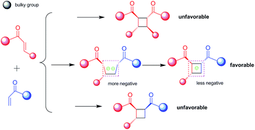 Graphical abstract: A computational investigation into the substituent effect on the chemo- and stereoselectivity of crossed intermolecular radical anion [2 + 2] cycloadditions of enones