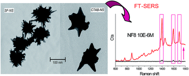 Graphical abstract: Gold nanostars as SERS-active substrates for FT-Raman spectroscopy