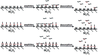 Graphical abstract: Phosphonate-modified metal oxides for the highly selective enrichment of phosphopeptides