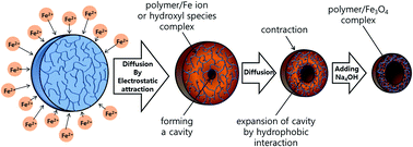 Graphical abstract: Facile synthesis of monodisperse poly(MAA/EGDMA)/Fe3O4 hydrogel microspheres with hollow structures for drug delivery systems: the hollow structure formation mechanism and effects of various metal ions on structural changes