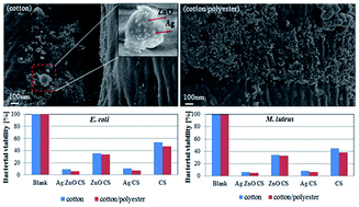 Graphical abstract: Synthesis and characterization of antimicrobial textile finishing based on Ag:ZnO nanoparticles/chitosan biocomposites