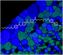 Graphical abstract: Novel asymmetrical single- and double-chiral liquid crystal diads with wide blue phase ranges