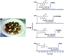Graphical abstract: Solid phase extraction and ultra performance liquid chromatography-tandem mass spectrometric identification of carcinogenic/mutagenic heterocyclic amines in cooked camel meat