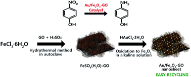 Graphical abstract: Au nanoparticles supported on magnetically separable Fe2O3–graphene oxide hybrid nanosheets for the catalytic reduction of 4-nitrophenol