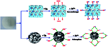 Graphical abstract: Pyrochlore Ta-doped antimony oxide as a novel adsorbent for efficient strontium removal