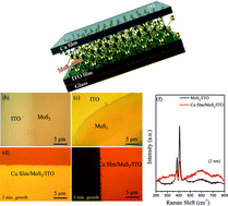 Graphical abstract: Cu/MoS2/ITO based hybrid structure for catalysis of hydrazine oxidation