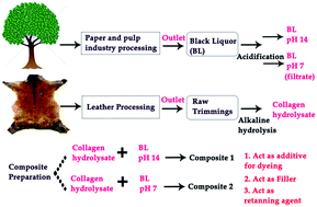 Graphical abstract: Hybrid composites: amalgamation of proteins with polymeric phenols as a multifunctional material for leather processing