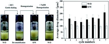 Graphical abstract: Pickering emulsions stabilized by palygorskite particles grafted with pH-responsive polymer brushes