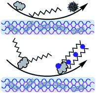 Graphical abstract: Improved antifouling performance of polyethersulfone (PES) membrane via surface modification by CNTs bound polyelectrolyte multilayers