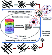 Graphical abstract: One-pot, template-free synthesis of hydrophobic single-crystalline La(OH)3 nanowires with tunable size and their d0 ferromagnetic properties