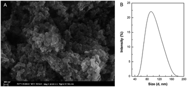 Graphical abstract: Self-assembly of glycinin nanoparticles for delivery of phenolic compounds from Phyllanthus urinaria