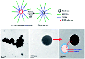 Graphical abstract: Fluorinated amphiphilic block copolymers via RAFT polymerization and their application as surf-RAFT agent in miniemulsion polymerization