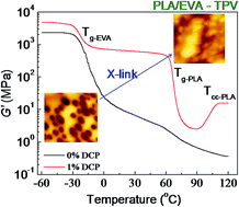 Graphical abstract: Bio-based poly(lactide)/ethylene-co-vinyl acetate thermoplastic vulcanizates by dynamic crosslinking: structure vs. property