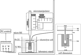 Graphical abstract: The actual potential distributions inside cavities under gas evolution and film formation conditions