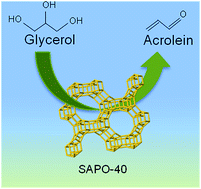 Graphical abstract: Gas-phase dehydration of glycerol over thermally-stable SAPO-40 catalyst