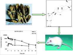 Graphical abstract: HPLC-ESI-MS/MS validation and pharmacokinetics of kalopanaxsaponin A in rats