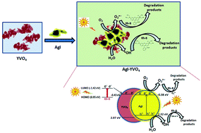 Graphical abstract: Designing of YVO4 supported β-AgI nano-photocatalyst with improved stability