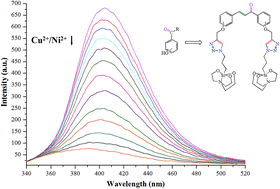 Graphical abstract: Chalcomer assembly of optical chemosensors for selective Cu2+ and Ni2+ ion recognition