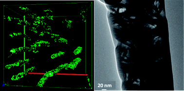 Graphical abstract: 3D electron microscopy investigations of human dentin at the micro/nano-scale using focused ion beam based nanostructuring