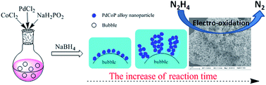 Graphical abstract: Room-temperature synthesis with inert bubble templates to produce “clean” PdCoP alloy nanoparticle networks for enhanced hydrazine electro-oxidation