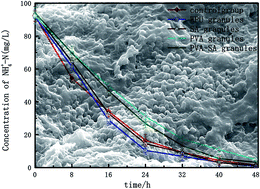 Graphical abstract: Anaerobic ammonium oxidation (ANAMMOX) sludge immobilized by waterborne polyurethane and its nitrogen removal performance-a lab scale study