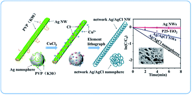 Graphical abstract: A special Ag/AgCl network-nanostructure for selective catalytic degradation of refractory chlorophenol contaminants
