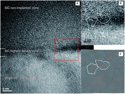 Graphical abstract: Effect of the silicon carbide nanoparticles introduction on biological properties of porous polymer coatings