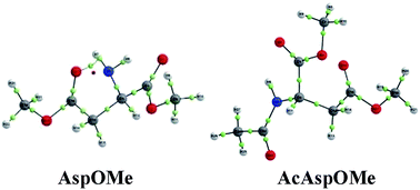 Graphical abstract: Experimental and theoretical evaluation on the conformational behavior of l-aspartic acid dimethyl ester and its N-acetylated derivative