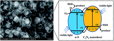 Graphical abstract: Ultra-thin C3N4 nanosheets for rapid charge transfer in the core–shell heterojunction of α-sulfur@C3N4 for superior metal-free photocatalysis under visible light